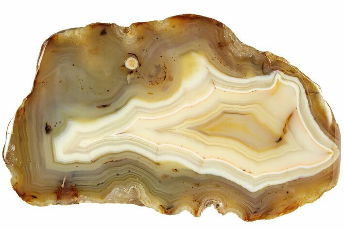 Polished Black River Agate - San Rafael, Argentina #209649